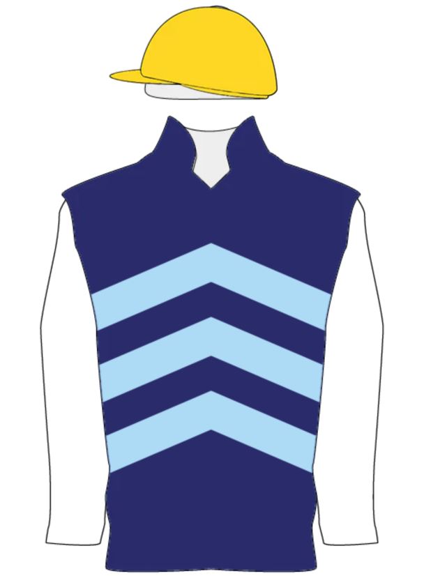 NorthgateRacingSilks